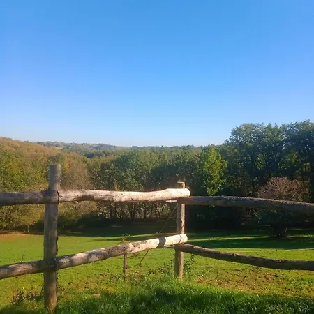 Aux 40 Ecus - Gingko *