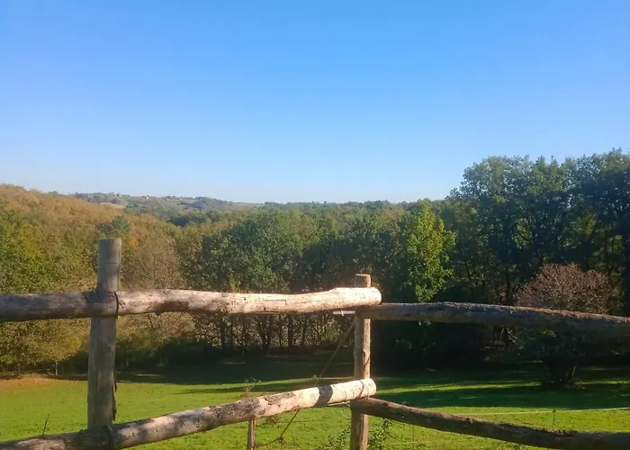 Aux 40 Ecus - Gingko *